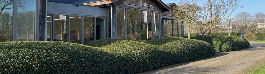 STN03 wolkenhaag 900 252